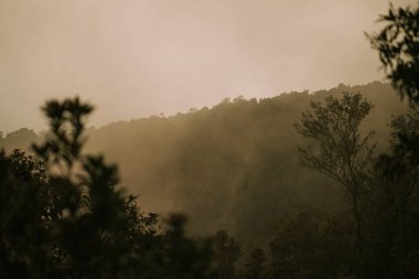 Doi Inthanon Ulusal Parkı Tayland 'da şafak vakti