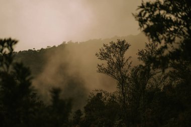 Dawn at Doi Inthanon National Park Thailand