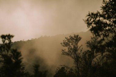 Doi Inthanon Ulusal Parkı Tayland 'da şafak vakti