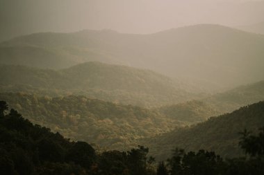 Dawn at Doi Inthanon National Park Thailand