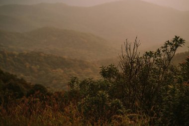 Doi Inthanon Ulusal Parkı Tayland 'da şafak vakti