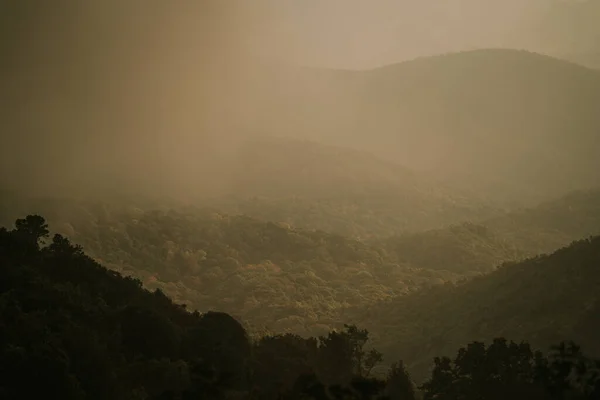 Dawn at Doi Inthanon National Park Thailand — Fotografia de Stock