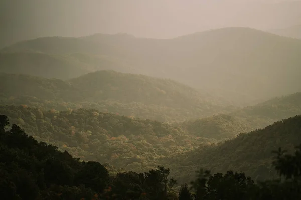 Dawn at Doi Inthanon National Park Thailand — Zdjęcie stockowe