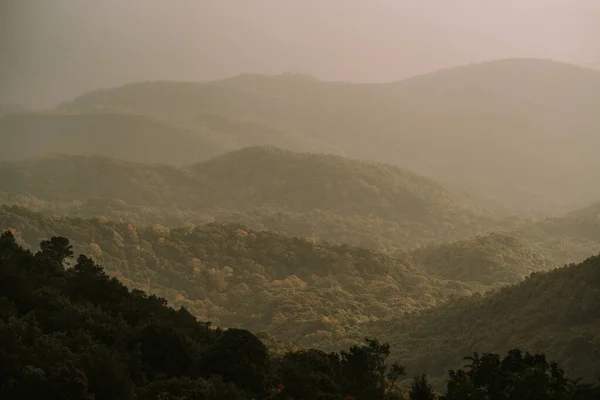 Dawn at Doi Inthanon National Park Thailand — Zdjęcie stockowe