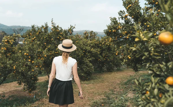 Kobieta Słomkowym Kapeluszu Spaceruje Pomarańczowym Ogrodzie Wysokiej Jakości Zdjęcie — Zdjęcie stockowe