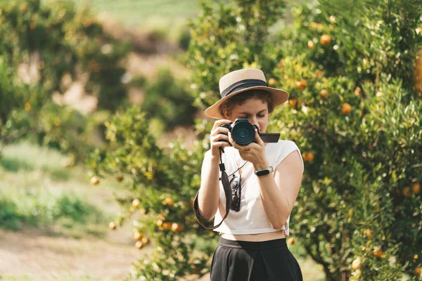 밀짚모자를 여자가 오렌지 정원에서 그림을 그리고 있습니다 고품질 — 스톡 사진