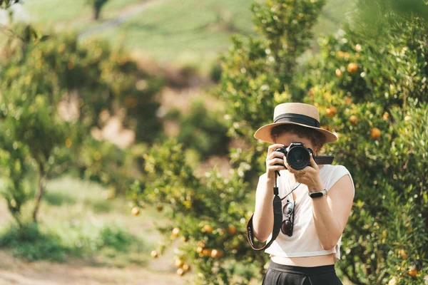 밀짚모자를 여자가 오렌지 정원에서 그림을 그리고 있습니다 고품질 — 스톡 사진