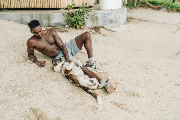 Усміхнений Привабливий Молодий Чорний Чоловік Грає Собакою Пляжі Високоякісна Фотографія — стокове фото