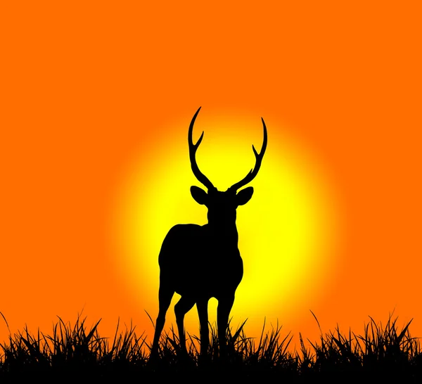 Silhouette of deer — Stock Photo, Image