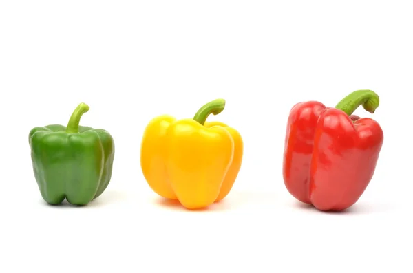 Verse kleurrijke paprika geïsoleerd — Stockfoto