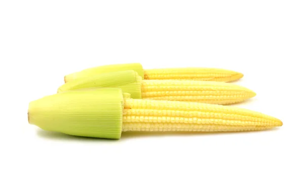 Baby corn isolated — Stock Photo, Image