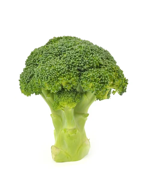 Broccoli geïsoleerd — Stockfoto