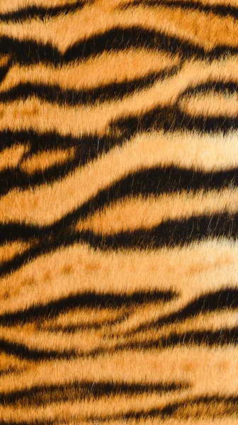 Pele de tigre — Fotografia de Stock