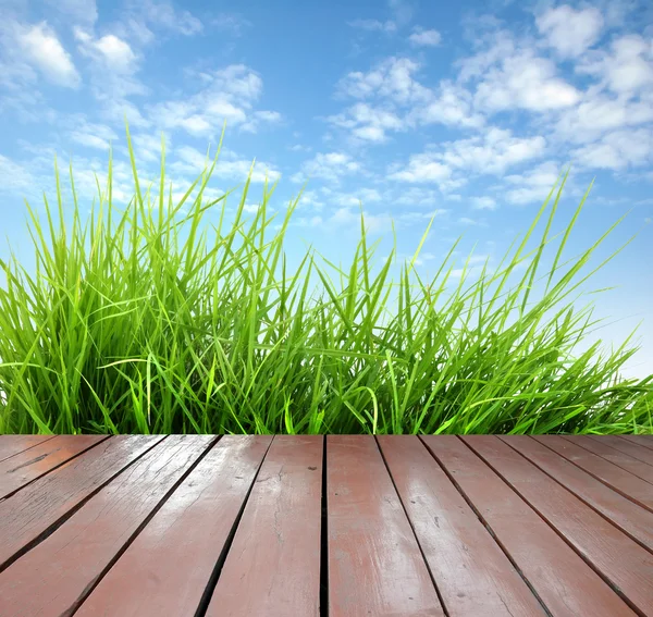 Holzterrasse mit frischem frühlingsgrünem Gras — Stockfoto