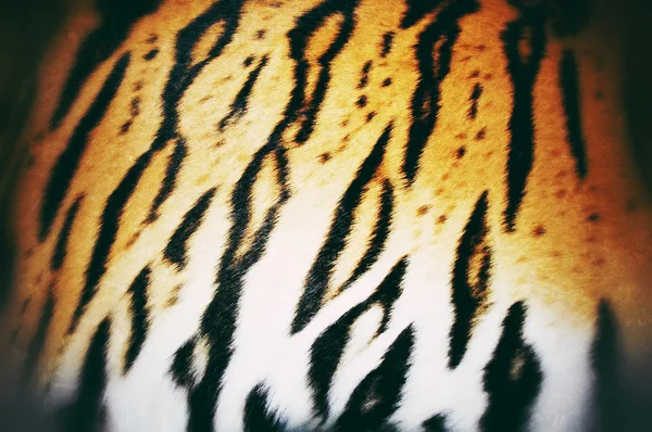 Vintage stijl tijger huid — Stockfoto