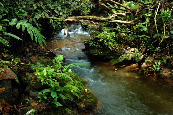 Vecchio ponte di legno — Foto Stock