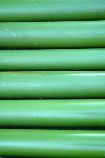 Frischer Bambus Hintergrund — Stockfoto