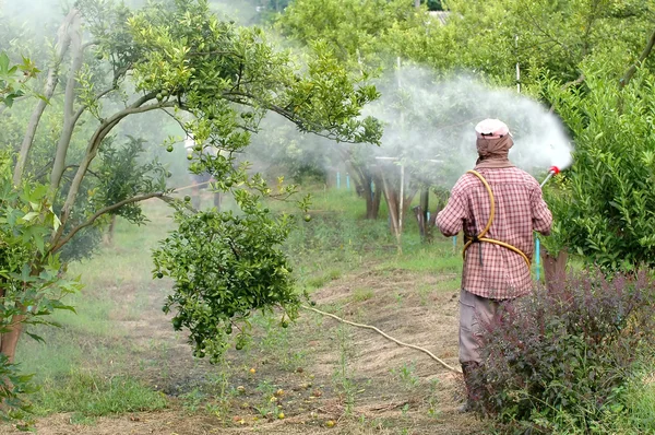 Çiftçi sprey pestisit — Stok fotoğraf