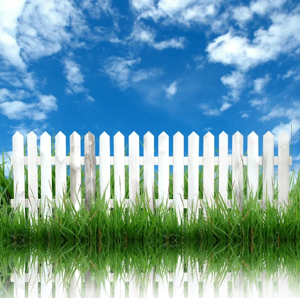 Wooden fence with green grass and blue sky — Stock Photo, Image