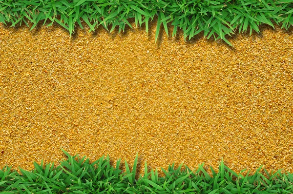 Hierba verde fresca sobre arena — Foto de Stock