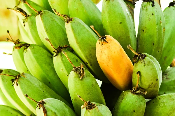 Banana on tree — Stock Photo, Image