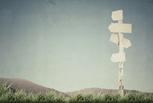 Vintage picture of wooden signpost with grass and blue sky — Stock Photo, Image