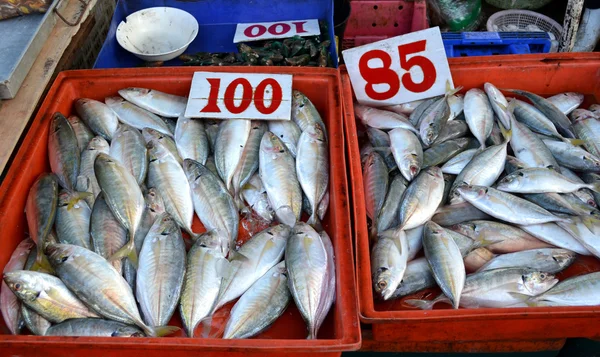 Mercado de pescado — Foto de Stock