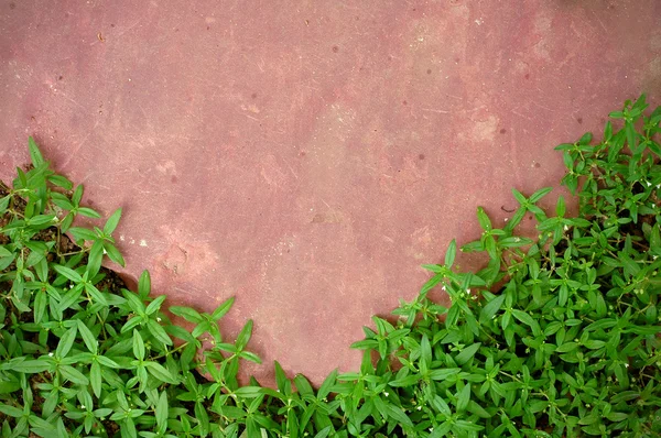 Pedra rosa com grama verde — Fotografia de Stock