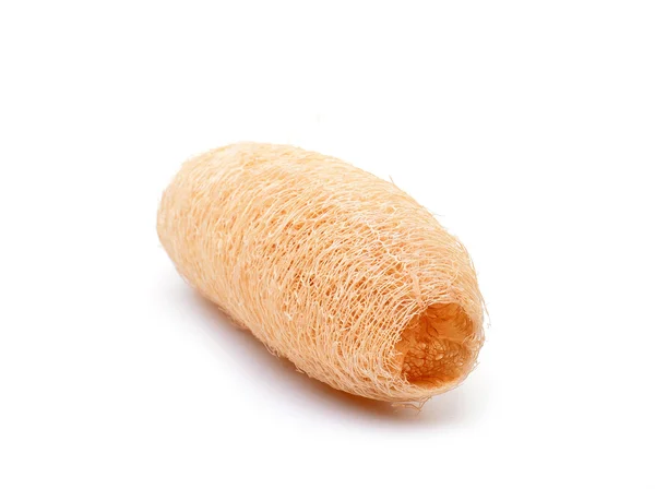 Luffa på vit bakgrund — Stockfoto