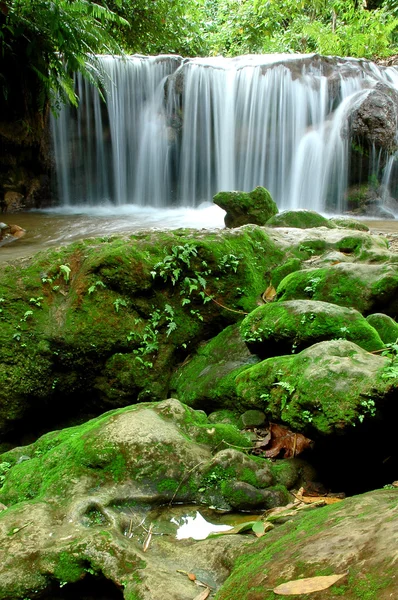 Arroyo tropical — Foto de Stock