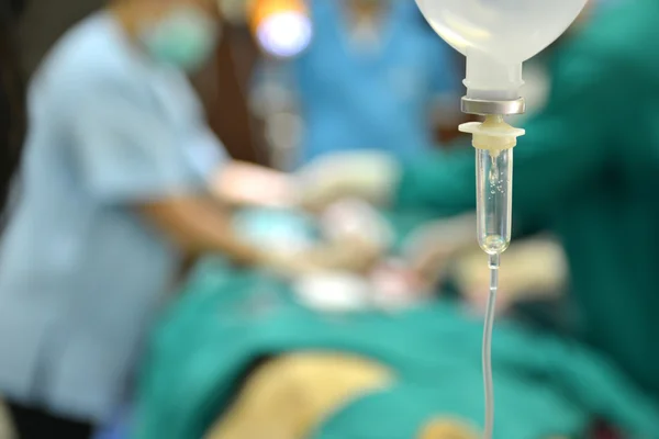 Veterinário realizando uma operação em um leão — Fotografia de Stock