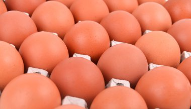 yumurta kağıt tepsisi