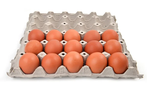 Yumurta kağıt tepsisi — Stok fotoğraf