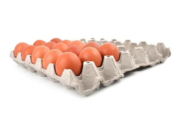 Huevos en bandeja de papel —  Fotos de Stock