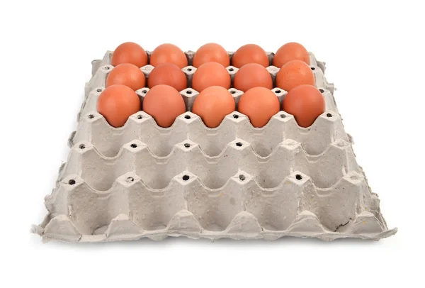 Huevos en bandeja de papel — Foto de Stock