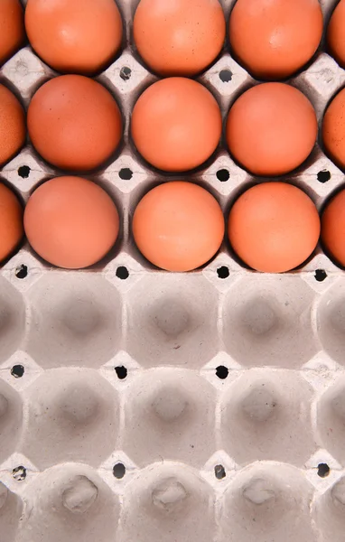 Yumurta kağıt tepsisi — Stok fotoğraf
