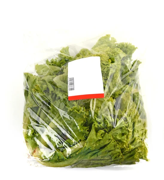 Iceberg lettuce in plastic bag package — Stock Photo, Image