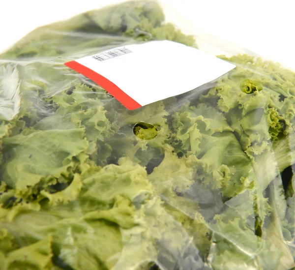 Iceberg lettuce in plastic bag package — Stock Photo, Image