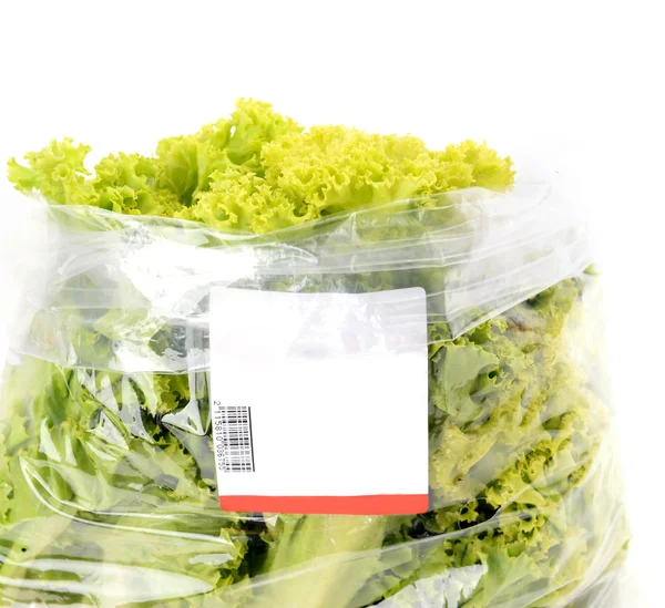 Alface iceberg no pacote de saco de plástico — Fotografia de Stock