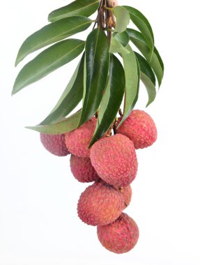 taze lychees izole