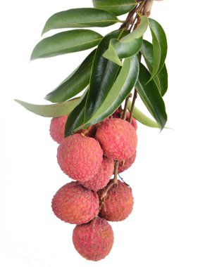 taze lychees izole