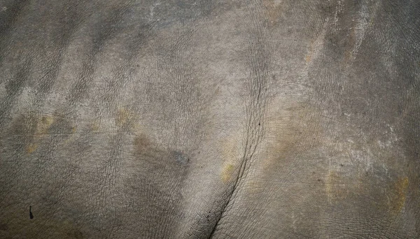 Sfondo Strutturato Pelle Rinoceronte — Foto Stock