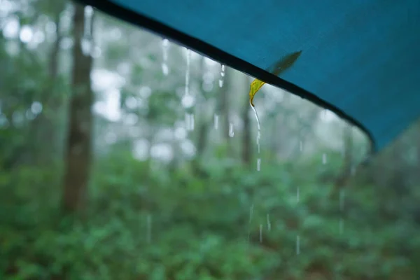 Gouttes Pluie Sur Toile Camping Dans Nature — Photo