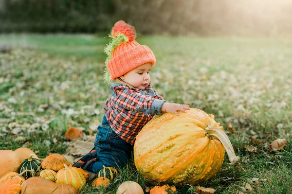 幸せな小さな子供カボチャを保持します トリックか治療か 面白い子だ 秋の公園で甘い秋の装飾で遊ぶ愛らしい少年 感謝祭を祝う子供 秋の装飾 ハロウィン — ストック写真