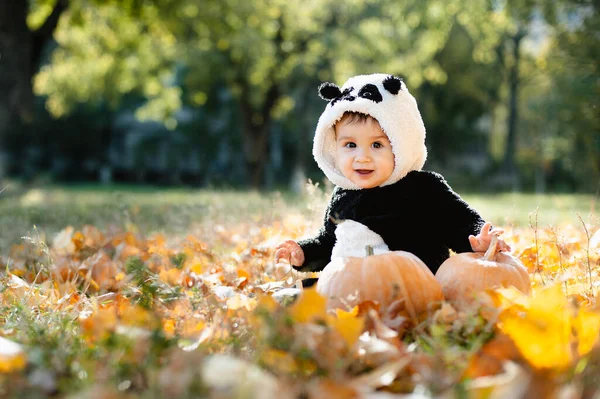 穿着熊猫服装的快乐的小孩拿着南瓜 欺骗还是款待 有趣的孩子 可爱的男孩在秋天公园玩耍孩子们庆祝感恩节 秋天装饰 Hallobetween — 图库照片