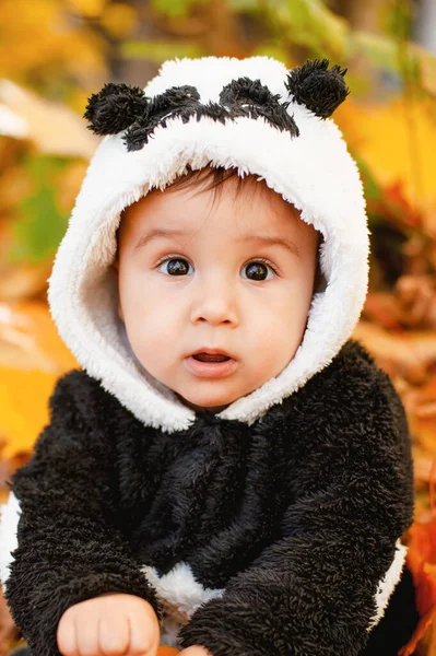 Šťastné Dítě Kostýmu Pandy Držící Dýni Koledu Nebo Něco Vtipné — Stock fotografie