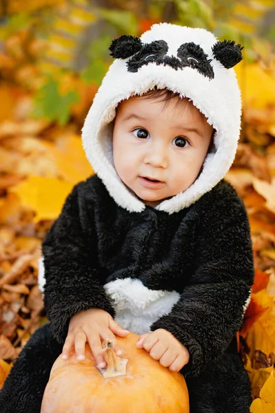 Criança Feliz Traje Panda Segurando Abóbora Doce Travessura Crianças Engraçadas — Fotografia de Stock