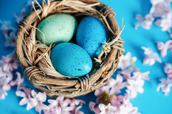 Osterhintergrund mit blauen Ostereiern im Nest der Frühlingsblumen. Draufsicht mit Kopierraum. Frohe Ostern Frühling Festliche Grußkarte. Feiertagsregelung. — Stockfoto