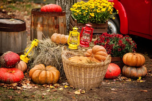 Autumn background. Halloween, Thanksgiving, decoration of house and garden for holiday. — Stock Photo, Image
