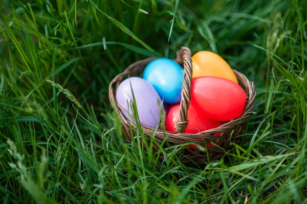 Барвисті великодні яйця в кошику на зеленій траві на відкритому повітрі. Концепція Великодня . — стокове фото